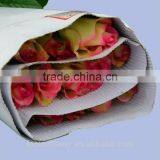 High Quality Red Velvet Fresh Cut Foliage Glass Love Roses Hopeshow With 20stems/bundle From Kunmming thumbnail-6