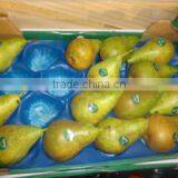 Small PP Tray With Nest Hole thumbnail-4