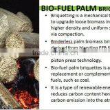 Palm Fiber Briquette thumbnail-6