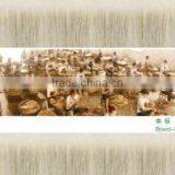 Jinshi Jinxiang Bristles Industrial Co., Ltd. company overview - view 2 thumbnail