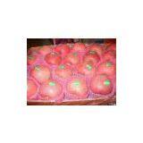 Fresh Apple thumbnail-1