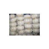 Fresh Chinese Garlic(5.5cm) thumbnail-3