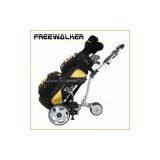 Electric Golf Cart thumbnail-1