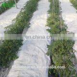 Agricultural Greenhouse Eggplant Hydroponics and Coconut Cultivation Equipment/Hydroponics Growing Systems /Hydroponic Trays