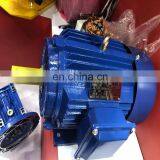 Induction Motor 60kw thumbnail-6