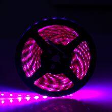 RGB Red Green Blue Color LED Strip Flexible SMD LED Light Strip 5050