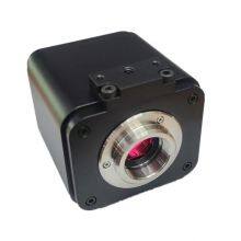 4K/1080P Adaptive Camera Industrial Camera Electron Microscope thumbnail-2