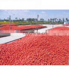 Tomato Paste Production Line Turkey for Manufacturing Tomato Sauce thumbnail-3