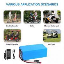 36V 48V 10AH 15Ah E Bike Lifepo4 Lithium Battery for Electric Bicycle Motorcycles thumbnail-1