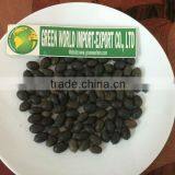 HIGH QUALITY DRIED BLACK LOTUS SEED _RESONABLE PRICE thumbnail-1