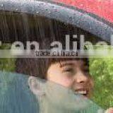 Car Window Visor Wind Deflector Door Visor for Mugen Style thumbnail-4