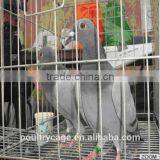 Factory Galvanized Layer Pigeon Cage Price