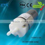 Mini 24v dc Water Extraction Pump