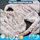Wholesale high quality Japanese food processed frozen squid with flour