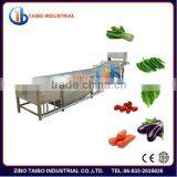 Factory Price Widely Used: Industrial Vegetable Washer:potato Washing Machine