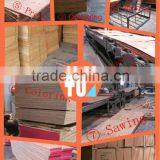 LVL Scaffold Plank thumbnail-1