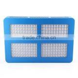 Hydroponics Led 2015 1000 Watt Led Grow Light Blue Red Led Strawberries thumbnail-2