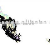 Malaysia Mapinfo Digital Map