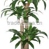 dracaena fragrans/PEVA plant/fake plant