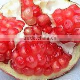 Best Quality for 40% Polyphenols//Pomegranate Seed Extract