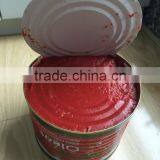 Oem Brand Super Seasoning Factory Tomato Ketchup Tomato Paste thumbnail-4