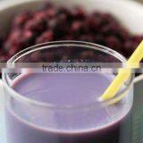 Blueberry Flavor thumbnail-1