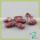 Factory Supply Red Speckled Kidney Beans