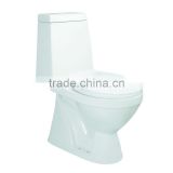 Two piece washdown ceramic toilet