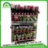 Agrotime Flower Carts for Sale/trolley Used in Greenhouse thumbnail-3