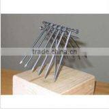 Price of Clout Nails for Building thumbnail-1