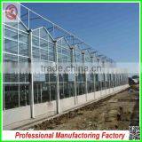 Agriculture Farm 10.8m Multi-span Commerical Greenhouse Glass With Hydroponic System thumbnail-4