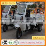 China New 250cc Three Wheel Mini Pedal Motorbikes for Sales thumbnail-4