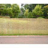 High Quality Natural Privacy Reed Fence for Garden