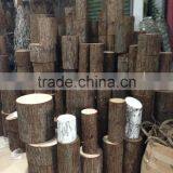 Decorative Tree Trunk Tree Log thumbnail-1