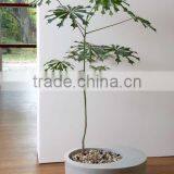 Polystone Planter thumbnail-1