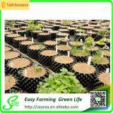 Irrigation Air Root Container Agriculture thumbnail-3