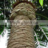 GNW APM015 Artificial Date Palm Tree New Products 2016 Can Use for Home Decor thumbnail-2