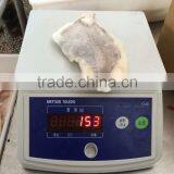 Frozen John Dory Fish Fillet Zeus Faber Fillet 150-200g thumbnail-1