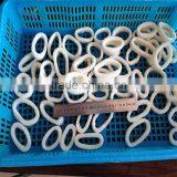 IQF Pacific Squid Rings (Todarodes Pacificus) thumbnail-4