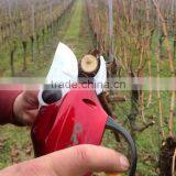 Fpq Electric Pruning thumbnail-1