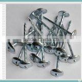Umbrella Head Roofing Nail Hot Sale in Kenya Market thumbnail-4
