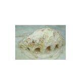 Sell Pearl Necklace (1006) thumbnail-1