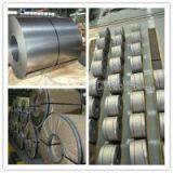 Color Coated Steel Coils for Roofing Building Supply Ral Color thumbnail-2