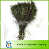 High Quality Peacock Feather Pieces FOR Decorative thumbnail-1