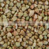 Organic Buckwheat thumbnail-1