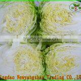 Green Chinese Cabbage Exporters in China