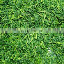 Frozen Garlic Stem thumbnail-3