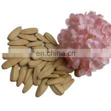 2022 Byloo Seeds Sunflower Oleic Sunflower Seeds Thailand for Sunflower Seed Flour thumbnail-5