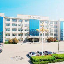 Shandong Dingtaisheng Machinery & Technology Co., Ltd. company overview - view 1 thumbnail
