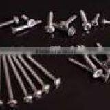DIN7983 Phillips Pan Head Screw Stainless Steel in Best Selling thumbnail-2